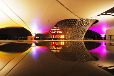 Photo taken on January 12, 2010 shows colorful lights view of the Sunshine Valley located at the axle of the World EXPO Garden in Shanghai, east China.