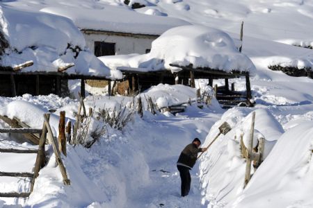 A man cleans snow in front of his house in Keketuohai Town of northwest China's Xinjiang Uygur Autonomous Region, January 10, 2010. Keketuohai, the second coldest places in China, witnessed heavy snowfalls on January 6-8, where the lowest temperature was nearly 40 degrees Celsius below zero.