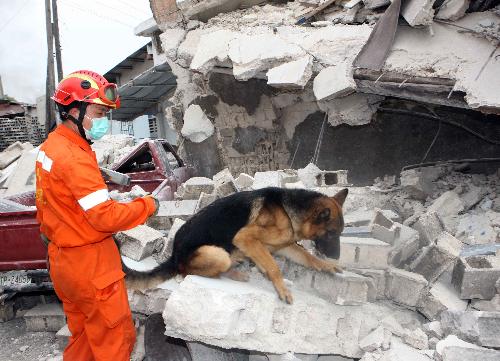 A member of China International Search and Rescue Team (CISAR) and a trained dog search for survivors on debris near a destroyed supermarket in Port-au-Prince, Haiti, January 19, 2010.