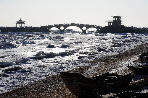 Photo taken on January 22, 2010 shows the sea ice on the seashore in Xingcheng, northeast China's Liaoning Province.