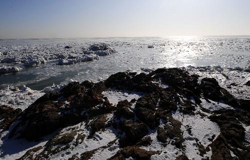 Photo taken on January 22, 2010 shows the sea ice on the seashore in Xingcheng, northeast China's Liaoning Province. 