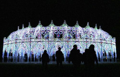 People view an artwork of the Italian Light Sculpture Festival during a trial illumination at Xuanwu Lake Park in Nanjing, capital of east China's Jiangsu Province, Jan. 25, 2010. 