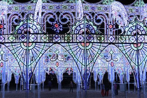 People view an artwork of the Italian Light Sculpture Festival during a trial illumination at Xuanwu Lake Park in Nanjing, capital of east China's Jiangsu Province, January 25, 2010. 