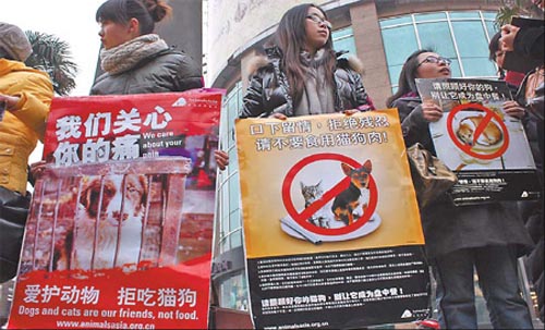 Environmentalists in Wuhan, Hubei province, stage a demonstration against the habit of eating dogs, holding placards that read 'dogs and cats are our friends, not food'.