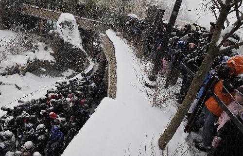 People attend a farewell party for giant panda Tai Shan at the National Zoo in Washington D.C., the United States, January 30, 2010.