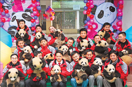 Officials and keepers of the Bifengxia Base of the China Conservation and Research Center for the Giant Panda in Ya'an, Sichuan Province, pose for a group photo with 16 panda cubs Wednesday.