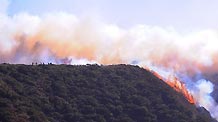 A forest fire spreads to Luliang County, southwest China's Yunnan Province, February 9, 2010.