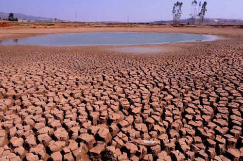Photo taken on Feb. 25, 2010 shows a dry pond in Mile County, Honghe Hani and Yi Autonomous Prefecture, southwest China's Yunnan Province. 
