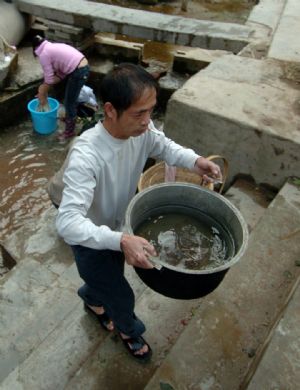 Meng Jinyong, a local villager, digs lotus roots in a dry pond in Mile County, Honghe Hani and Yi Autonomous Prefecture, southwest China's Yunnan Province, on Feb. 25, 2010. 