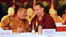 The 11th Panchen Lama Bainqen Erdini Qoigyijabu (front R) attends the 8th National Congress of the China Buddhism Association in Beijing, capital of China, on Feb. 1, 2010.