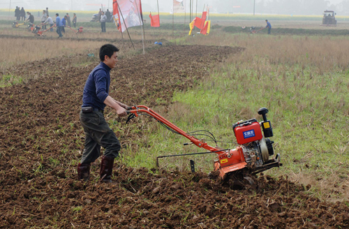 A farmer ploughs the field in Tongnan County, southwest China's Chongqing Municipality, February 28, 2010.