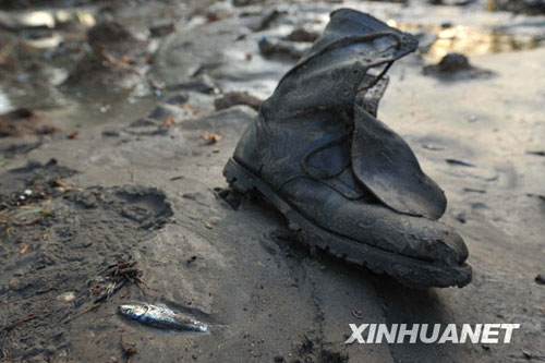 Photo taken on March 2 shows a shoe left behind by local people after a quake-triggered tsunami swept across Constitución in southern Chile on Feb. 27, 2010. 