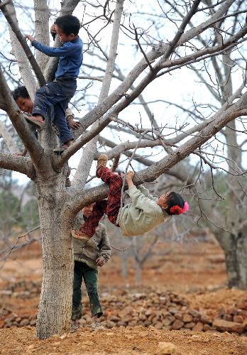 Children play on a dried-up fruit tree in Huize County of Qujing City, southwest China's Yunnan Province, on March 7, 2010.
