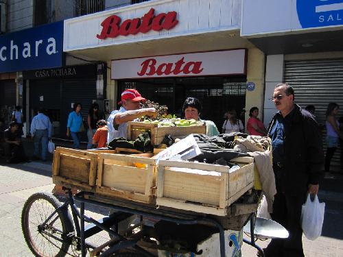 A peddler sells fruits to local residents in the quake-striken city of Concepcion, Chile, March 9, 2010. 
