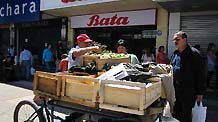 A peddler sells fruits to local residents in the quake-striken city of Concepcion, Chile, March 9, 2010.