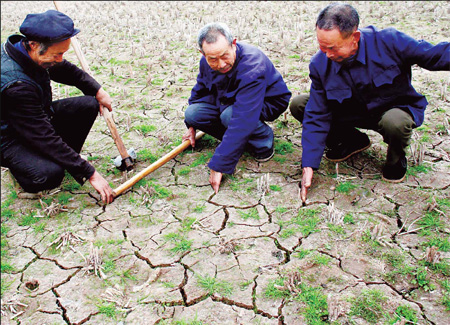 Farmers study the drought situation in Huishan Village, Zhongjiang County of southwest China's Sichuan Province, on Monday.