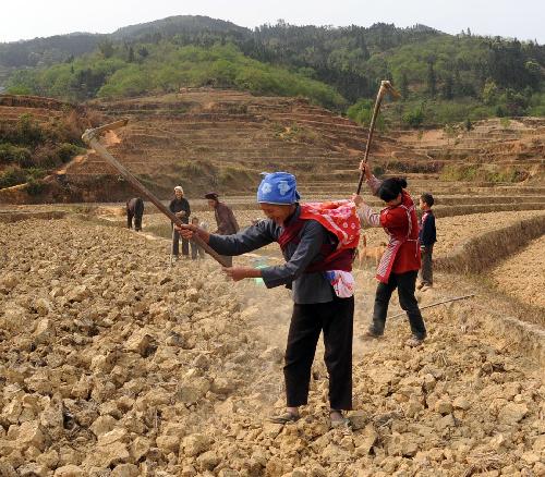 Farmers of Aidong Township wait for the rain to sow the seed in the thirsty fields in Donglan County, southwest China's Guangxi Zhuang Autonomous Region, March 16, 2010. 