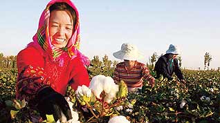 Migrant workers from Qinghai Province pick cotton in a field in Hami, in neighboring Northwest China's Xinjiang Uygur Autonomous Region. Xinjiang is the country's biggest cotton producing center.