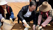 Chinese Premier Wen Jiabao (C) adds soil to the plastic bags to rear corn seedlings in the field in Luliang County, southwest China's Yunnan Province, March 20, 2010.