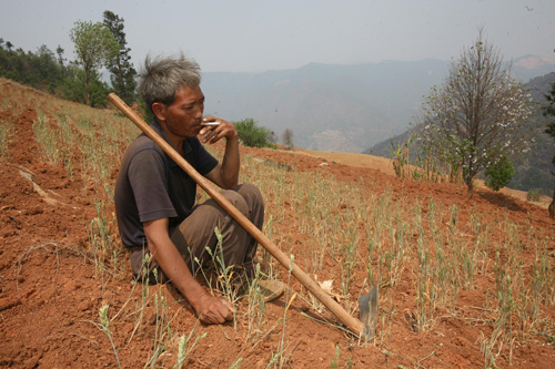 A local farmer looks at dying crop in the field in Shihuitang village of Shiping County, southwest China's Yunnan Province, March 24, 2010. The sustaining severe drought ravaged this region since last October and made no harvest of crops.