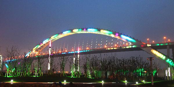 The Lupu Bridge near the Shanghai World Expo Park is seen illuminated on March 31, 2010 in Shanghai, China. 