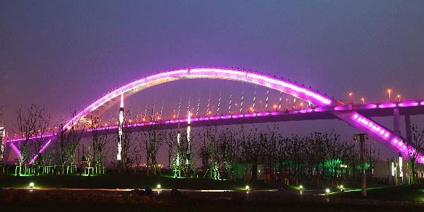 The Lupu Bridge near the Shanghai World Expo Park is seen illuminated on March 31, 2010 in Shanghai, China.
