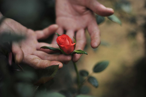 A farmer works on dried-up land where flowers used to grow in Southwest China's Yunnan Province, on April 6, 2010.