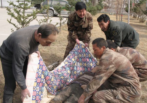 Soldiers of the Chinese People's Liberation Army rescue a survivor of quake in Tibetan Autonomous Prefecture of Yushu, northwest China's Qinghai Province, April 14, 2010.