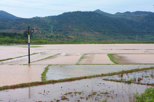 Triggered by torrential rain over the past few days, a raging torrent swept through Gongcheng Autonomous Prefecture in Guangxi, April 22, 2010. 