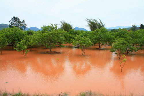 Triggered by torrential rain over the past few days, a raging torrent swept through Gongcheng Autonomous Prefecture in Guangxi, April 22, 2010. 