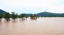 Triggered by torrential rain over the past few days, a raging torrent swept through Gongcheng Autonomous Prefecture in Guangxi, April 22, 2010.