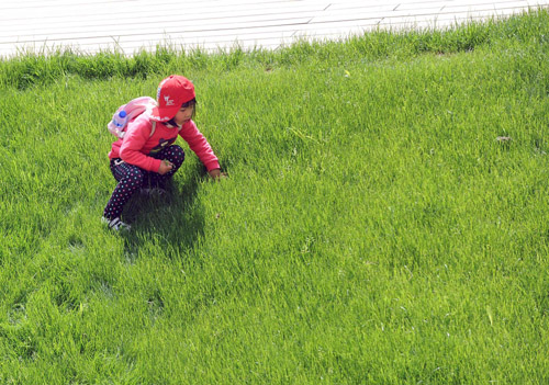 A girl plays on the lawn at the Expo Park April 25, 2010.