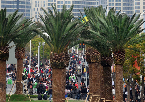 Date Palm trees are planted in front of the Saudi Arabia Pavilion. Photo taken on April 25, 2010. 