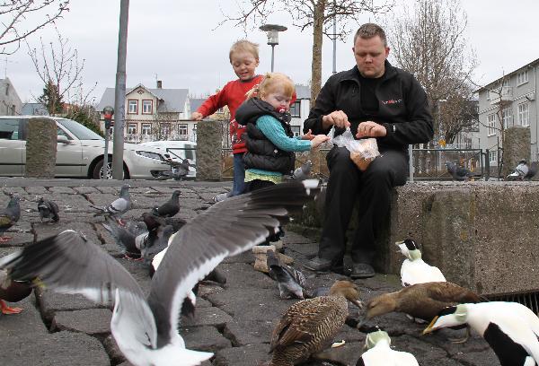 A father with his two children feeds birds on a square in Reykjavik, capital of Iceland, April 28, 2010.