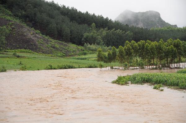 Farmland is flooded in Laibin City, south China's Guangxi Zhuang Autonomous Region, June 1, 2010, due to the continuing severe rain and storm.