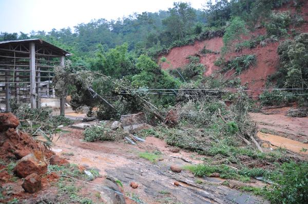 Trees are hit by landslides in Rongxian County of Yulin City, south China's Guangxi Zhuang Autonomous Region, June 2, 2010. 