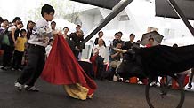 A boy plays the role of a bullfighter during a performance at the Madrid Case Pavilion of Urban Best Practices Area (UBPA) at the World Expo Park in Shanghai, east China, on June 10, 2010.