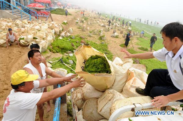 Workers load bags of cleared green algae in Qingdao, east China's Shandong Province, on June 29, 2010.