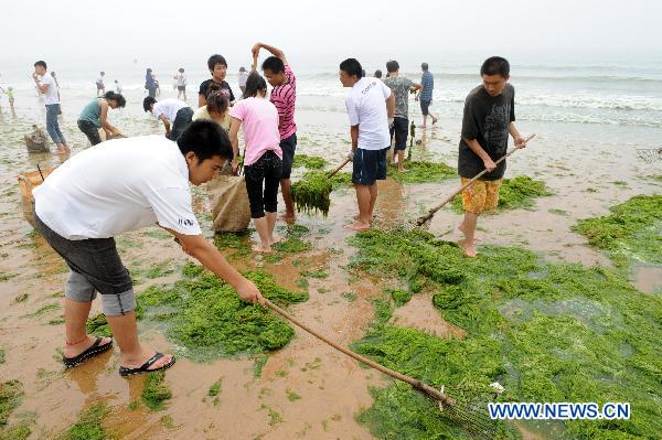 Visitors voluntarily clear green algae in Qingdao, east China's Shandong Province, on June 29, 2010. 