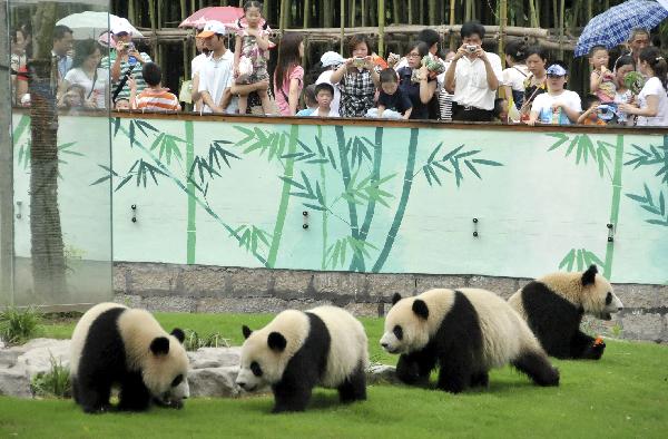 Flocks of visitors have close contact with the pandas, at the World Expo Pandas Pavilion inside the Shanghai Wild Animal Park in its opening day, in Shanghai, east China, June 30, 2010. 