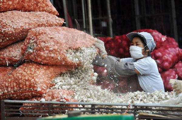 A worker sifts garlic at a wholesale market in Nanning, capital of southwest China's Guangxi Zhuang Autonomous Region, July 20, 2010. 