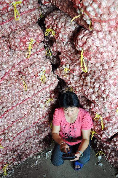 A trader makes a stocktaking at a wholesale market in Nanning, capital of southwest China's Guangxi Zhuang Autonomous Region, July 20, 2010. 