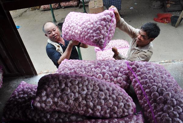 Two workers take a bag of garlic onto a vehicle at a wholesale market in Nanning, capital of southwest China's Guangxi Zhuang Autonomous Region, July 20, 2010.