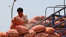 A man carries a bag of garlic at Xinfadi wholesale market in Beijing, July 20, 2010.