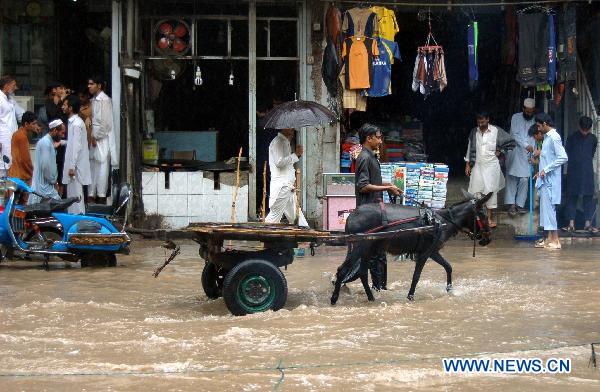 A boy leads his donkey cart through the flooded street in northwest Pakistan&apos;s Peshawar on July 22, 2010. 