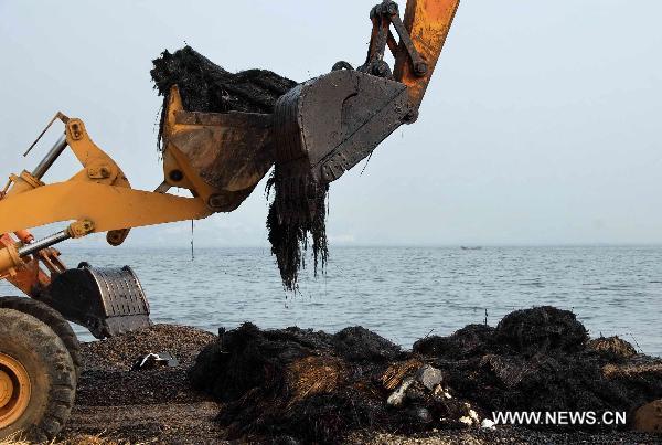 Grabs work during the oil spill cleanup operation at the seashore near the development zone in Dalian, northeast China's Liaoning Province, July 26, 2010.