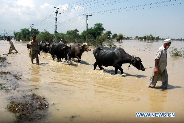 People walk through the waterlogged street in northwest Pakistan's Risalpur on August 2, 2010. 