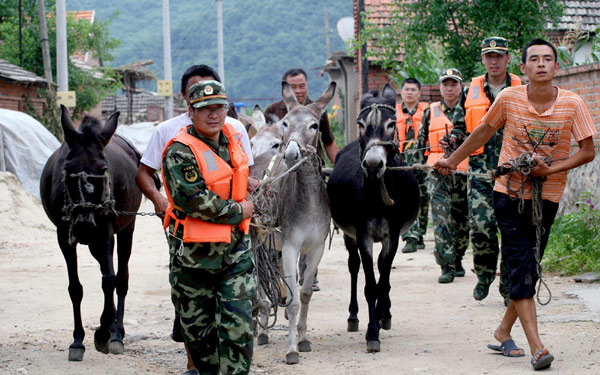 Soldiers help the local villagers move their livestock in Gulouzi township of Dandong City, Liaoning Province, August 4, 2010. 