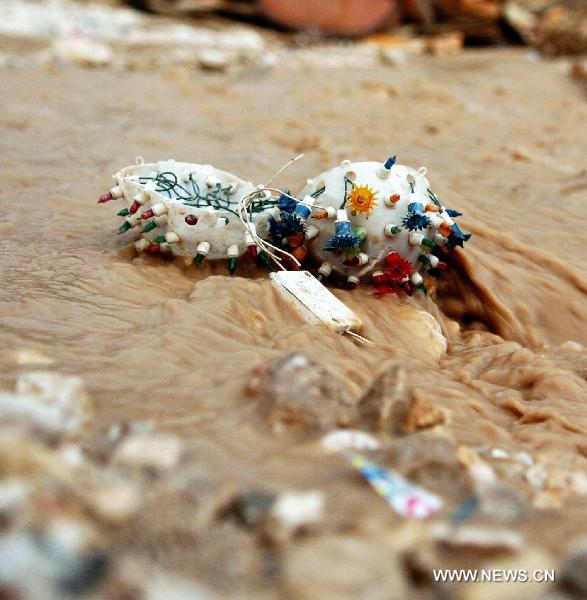 The photo taken on Aug. 9, 2010, shows two colored lights soaked in the flood water. 