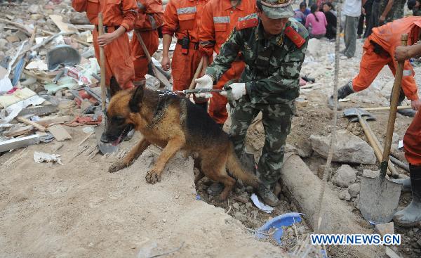 Rescuers with a dog search for indications of life on ruins of the landslides-hit Zhouqu County, Gannan Tibetan Autonomous Prefecture in northwest China&apos;s Gansu Province, Aug. 11, 2010.
